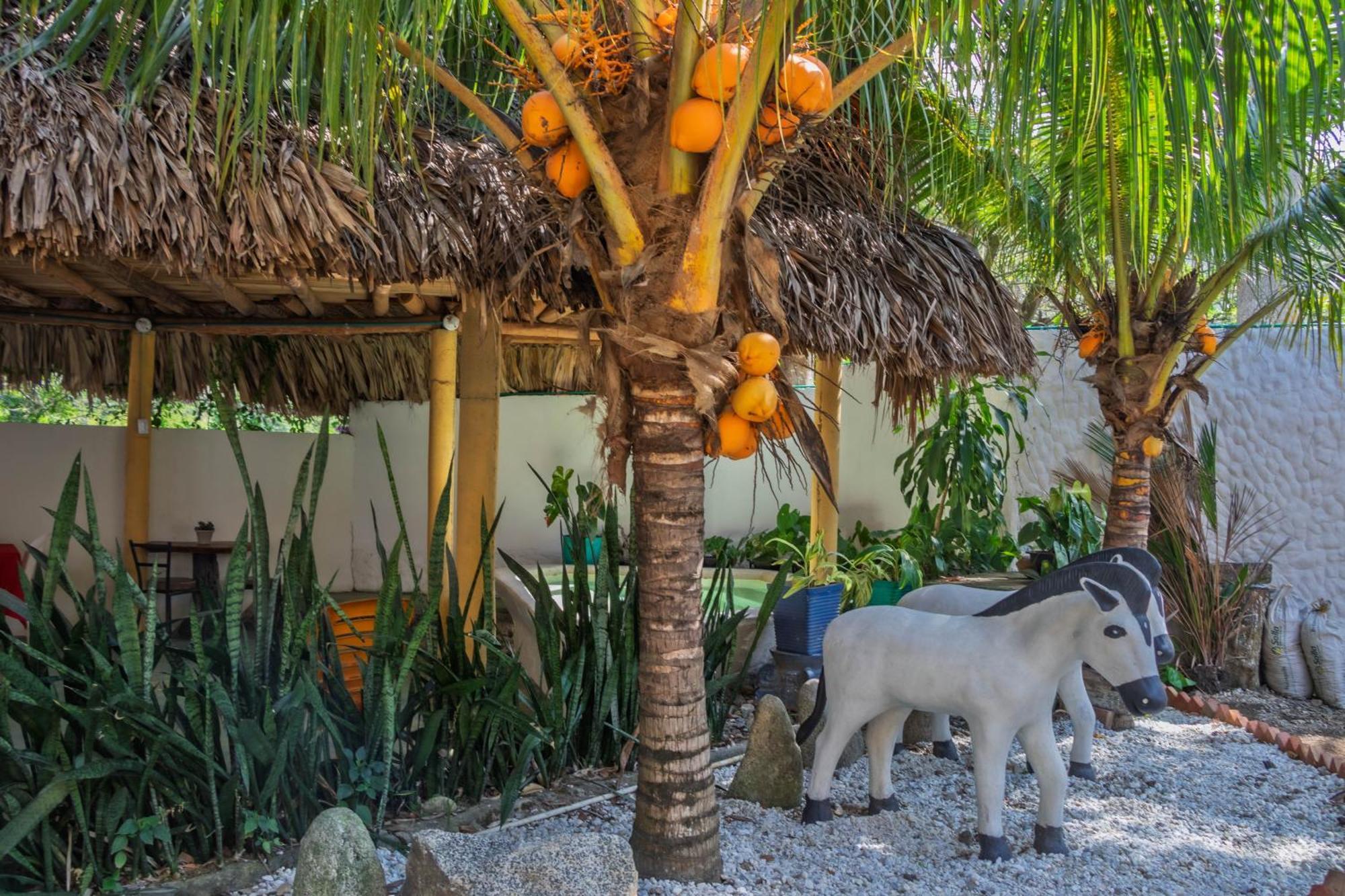 אל סאינו Hotel Manakin Tayrona מראה חיצוני תמונה